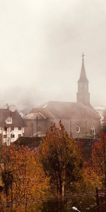 Foto de alguns prédios antigos com uma leve neblina e algumas árvores em primeiro plano.