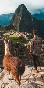Foto com a cidade de Machu Pichu ao fundo e algumas lhamas em primeiro plano olhando para a cidade.