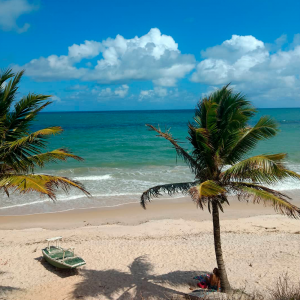 Foto da praia com palmeiras e um barco parado na areia