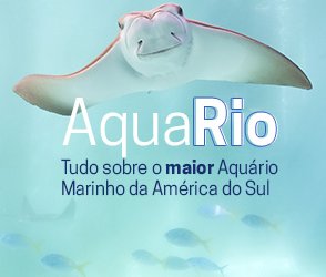 AquaRio – Tudo sobre o maior Aquário Marinho da América do Sul