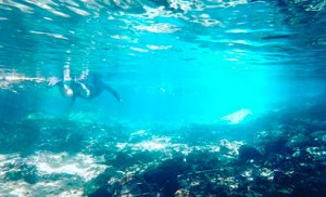 Foto tirada em baixo d'água azul e cristalina. Uma pessoa nada ao fundo