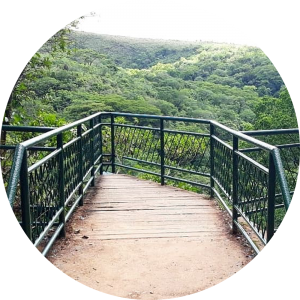 Foto de um mirante localizado no Parque das Cascatas. Vista verde, co proteção de ferro dos dois lados.
