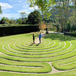 Foto de um casal de beijando no centro de um gramado em forma de labirinto.