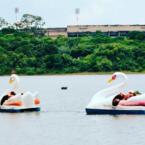 Foto de um lago com pedalinhos em formato de cisnes no parque do sábia