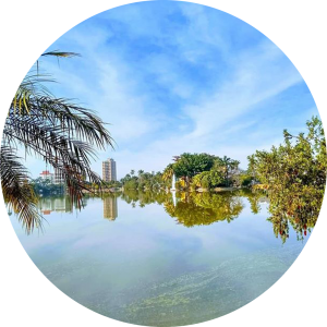 Foto do Lagoa Paulino, em um dia ensolarado. Água espelhada que duplica a paisagem verde para dentro da água.