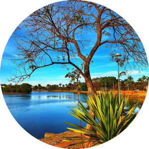 Foto da Lagoa Boa Vista. Água em tonalidades de azul, pelo reflexo do céu aberto, com árvore seca em frente a foto e um arbusto verde ao lado, realçando o contraste de cor.