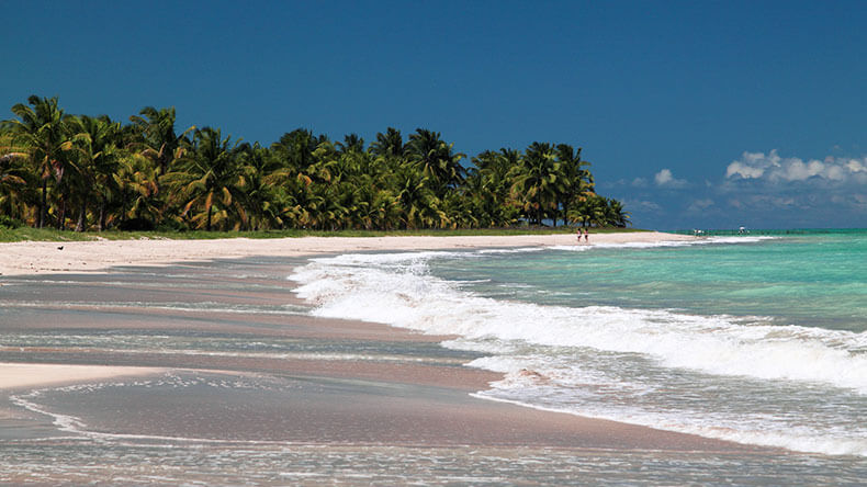 Praia deserta na rota ecológica pelo litoral de Alagoas.