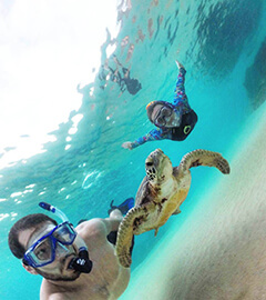 Pepe mergulhando de snorkel ao lado de uma tartaruga.