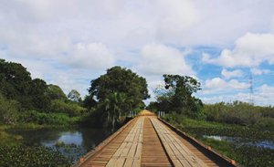 Estrada sobre lagoa no Pantanal